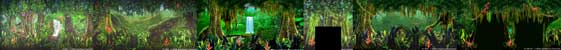 Tropical Jungle RoomSet Backdrops