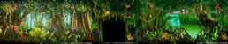 Tropical Jungle RoomSet Backdrops