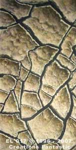 Backdrop EL017 Mud Panel 5