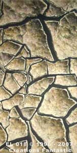 Backdrop EL018 Mud Panel 6