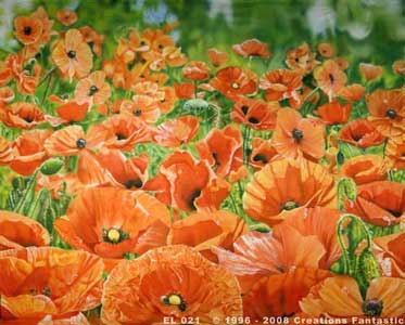 Backdrop EL021 Poppy Field