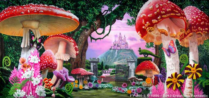 Backdrop FY040-S Wonderland 1