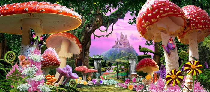Backdrop FY040C-SS Wonderland 1C