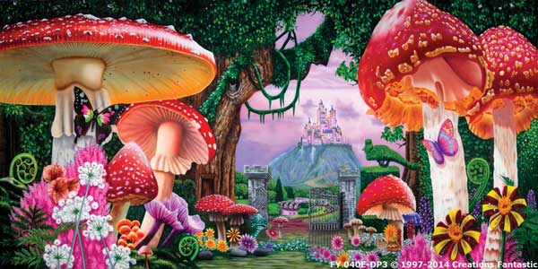 Backdrop FY040E-DP3 Wonderland 1E