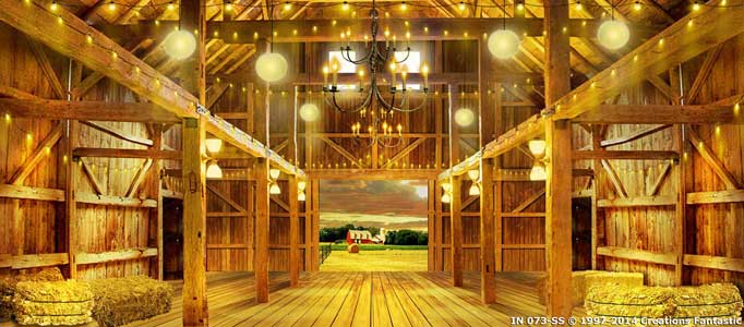 Backdrop IN073-SS Party Barn 1