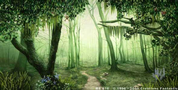 Backdrop ME016 Medieval Forest 3