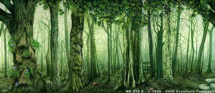 Backdrop ME018-S Medieval Forest 5