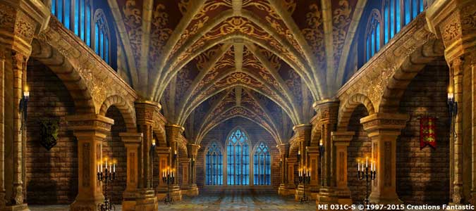 Backdrop ME031C-S Gothic Castle Interior 2C
