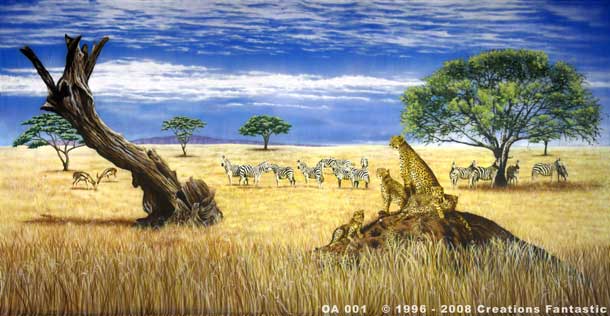 Backdrop OA001 African Savannah 1