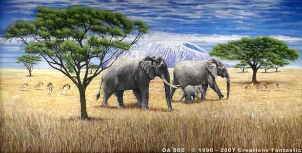 Backdrop OA002 African Savannah 2