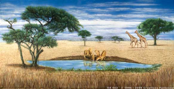 Backdrop OA003 African Savannah 3