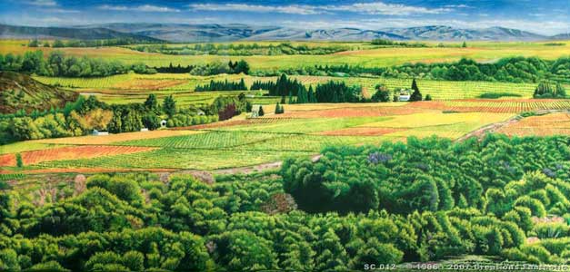 Backdrop SC012 Cape Winelands 1