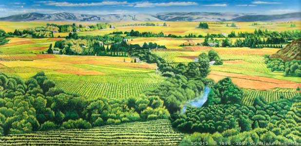 Backdrop SC013 Cape Winelands 2