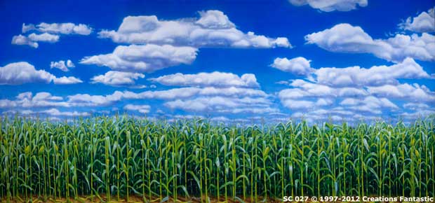 Backdrop SC027 Cornfield 2
