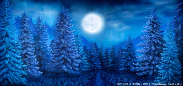 Backdrop SC030 Moonlight Forest