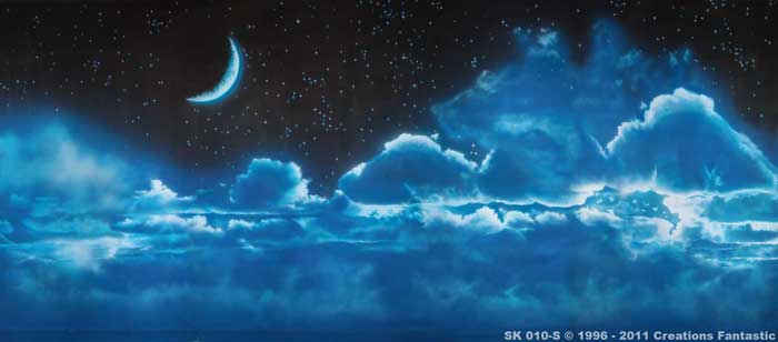 Backdrop SK010-S Cloud Base 2