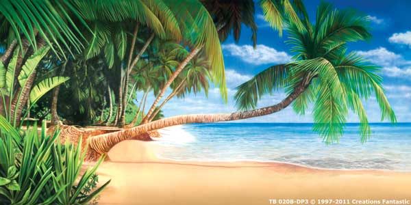 Backdrop TB020B-DP3 Tropical Beach 7B