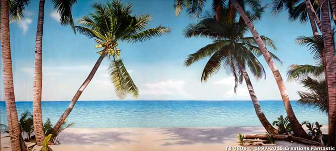 Backdrop TB080B Tropical Beach 16B