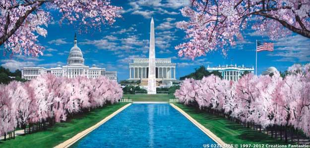 Backdrop US 022B-DP5 Washington DC B