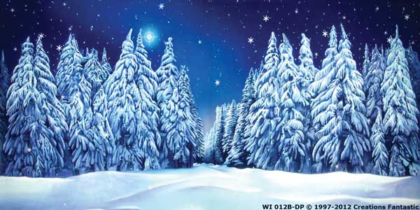Backdrop WI 012B-DP Winter Wonderland 5B