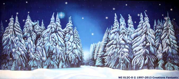 Backdrop WI012C-S Winter Wonderland 5C