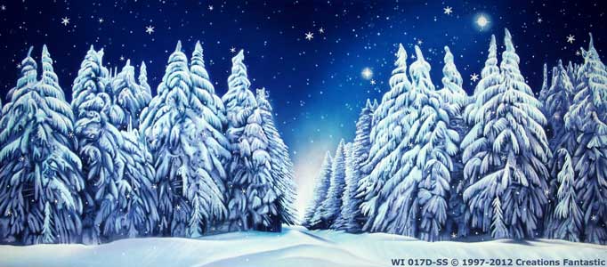 Backdrop WI 017D-SS Winter Wonderland 9D