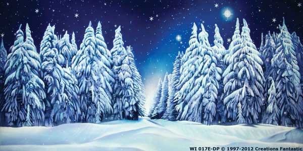 Backdrop WI 017E-DP Winter Wonderland 9E