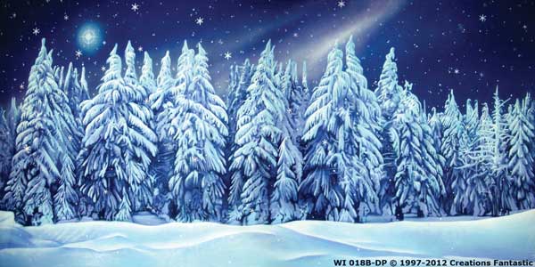 Backdrop WI 018B-DP Winter Wonderland 10B