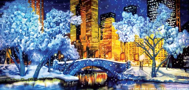 Backdrop WI024C-DP5 Central Park Winter 1C