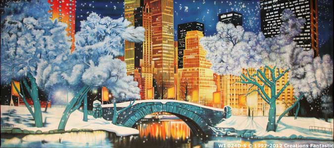 Backdrop WI024D-S Central Park Winter 1D