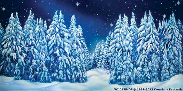Backdrop WI 025B-DP Winter Wonderland 11B