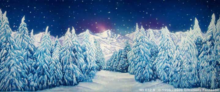 Backdrop WI 032-S Winter Wonderland 16