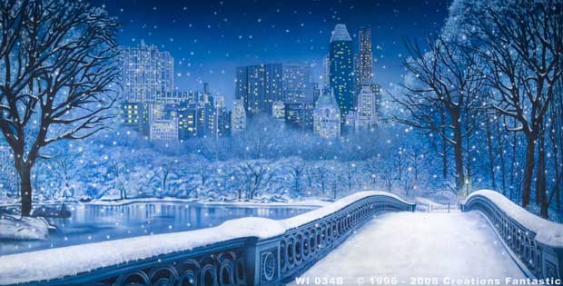 Backdrop WI 034B Central Park Winter 2B