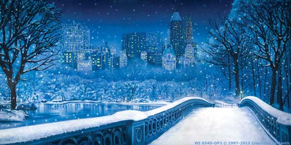 Backdrop WI 034D-DP3 Central Park Winter 2D