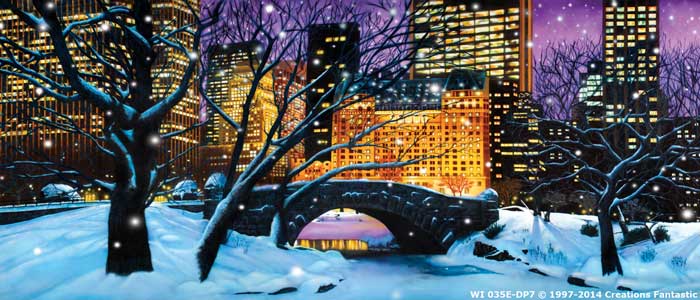 Backdrop WI035E-DP7 Central Park Winter 3E