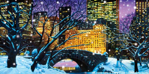 Backdrop WI035G-DP3 Central Park Winter 3G