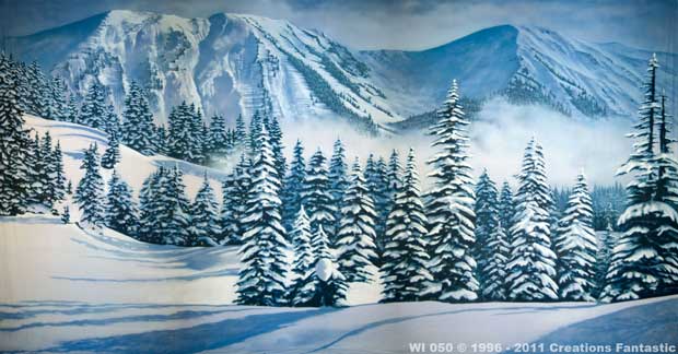 Backdrop WI050 Winter Landscape 1