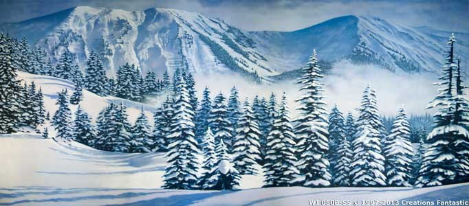 Backdrop WI050B-SS Winter Landscape 1B