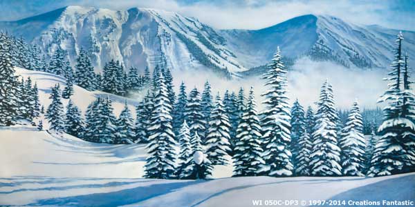 Backdrop WI050C-DP3 Winter Landscape 1C
