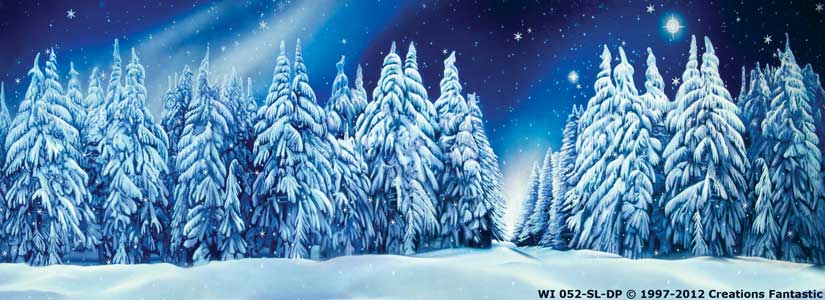 Backdrop WI 052-SL-DP Winter Wonderland 18
