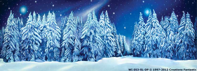 Backdrop WI 053-SL-DP Winter Wonderland 19