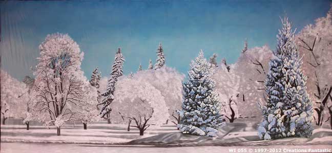Backdrop WI 055 Winter Tree Landscape 2