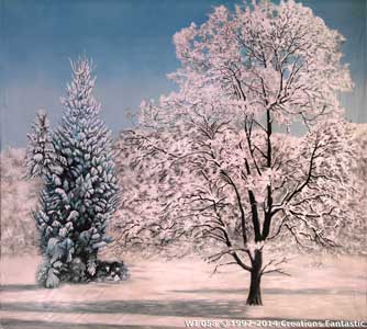 Backdrop WI 058 Winter Tree Landscape 5