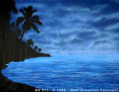 Backdrop BU013  Midnight Bay 2