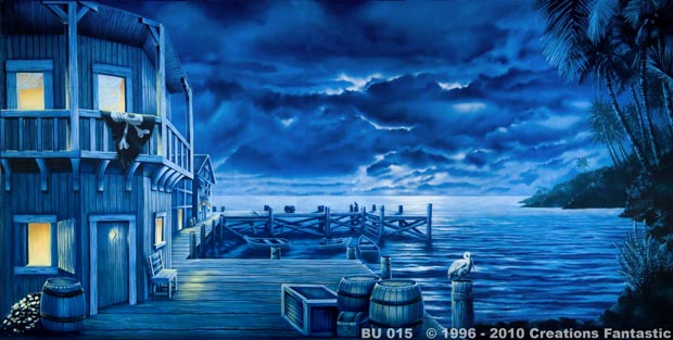 Backdrop BU015  Midnight Bay 4