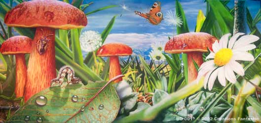 Backdrop BG001 Big Garden 1