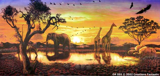 Backdrop OA005 African Sunset 1