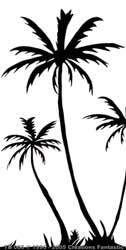 TB004 Tropical Beach 4