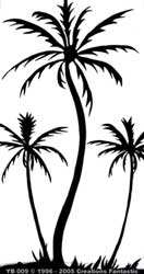 TB004 Tropical Beach 4