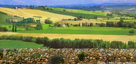 Backdrop TU 004 Tuscany Landscape 1